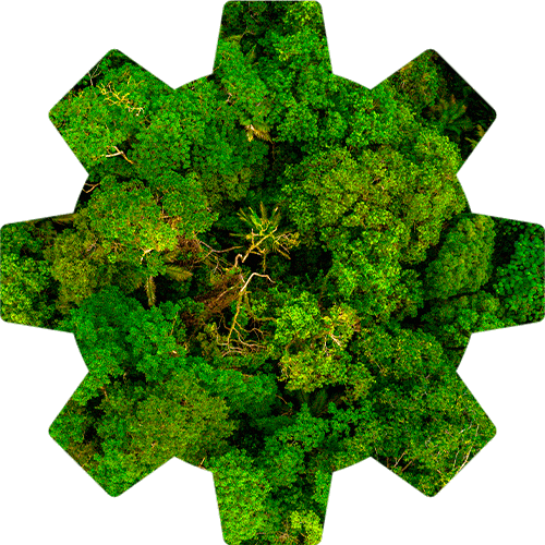 Plano de Manejo Florestal Sustentável